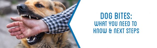 Dog Bites: What You Need to Know & Next Steps | KBG Injury Law