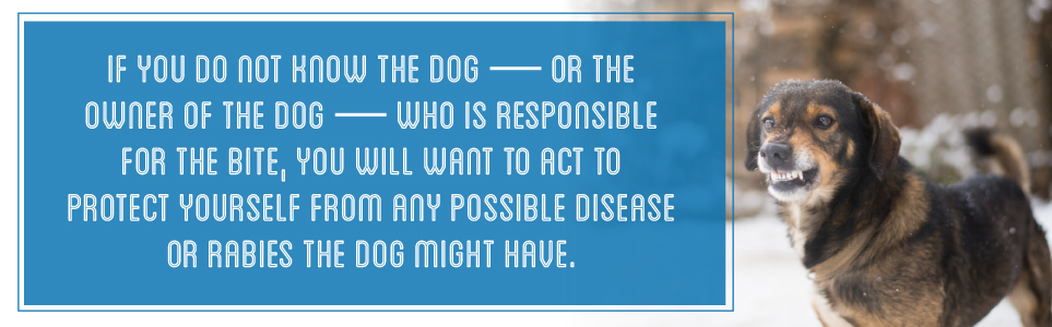 Dog Bites: What You Need to Know & Next Steps | KBG Injury Law