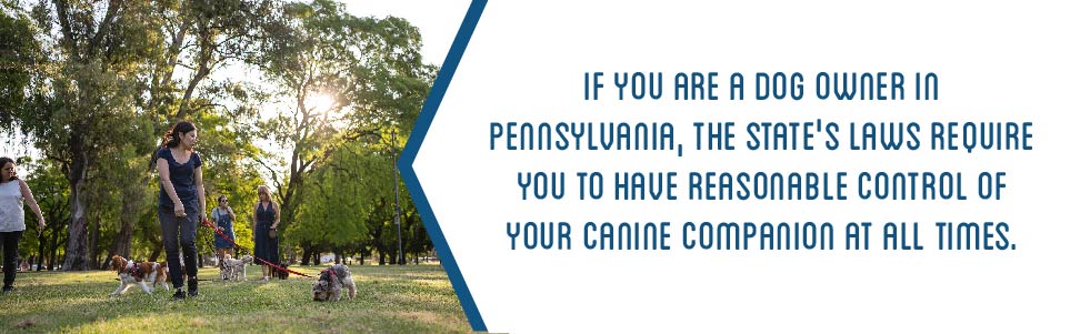 Pennsylvania's Confinement Statute