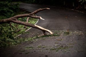Road Debris Accidents: Who is Liable when Debris on the Road Causes a Crash?